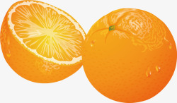 橙色桔子水果素材