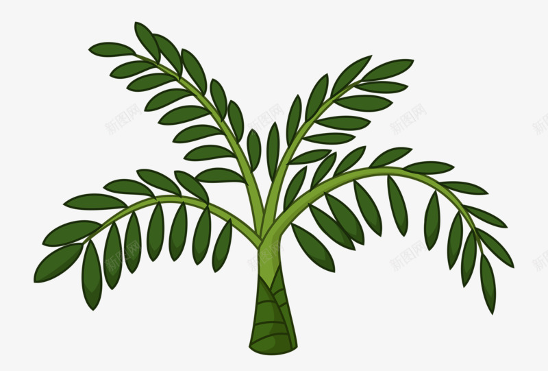 绿色橡胶树png免抠素材_新图网 https://ixintu.com 卡通橡胶树 小橡胶树 树木 橡胶树 绿色