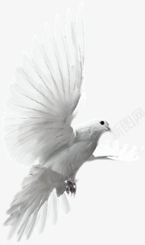 创意在布拉格广场上飞翔的白鸽png免抠素材_新图网 https://ixintu.com 创意 布拉格 广场 白鸽 飞翔