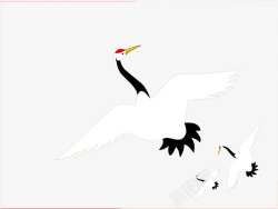 天鹤PNG一只白色飞翔的天鹤矢量图高清图片