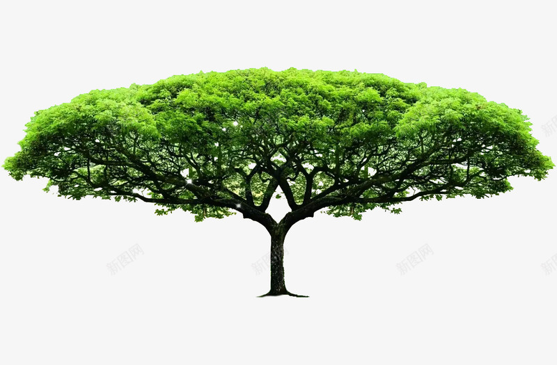 特殊造型绿色树木植树节元素png免抠素材_新图网 https://ixintu.com 植树节元素 植树节宣传插图 特殊造型树木 绿色树木