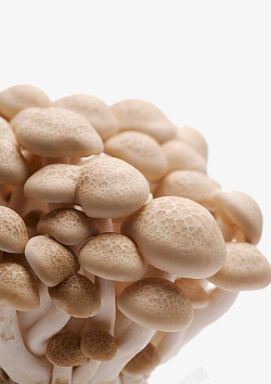 白色蘑菇和蟹味菇超市蘑菇蘑菇批发菜篮子绿色生活高清图片