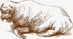 手绘海狮素材