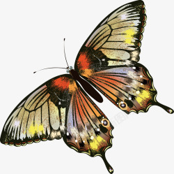 中国风手绘彩色蝴蝶矢量图素材