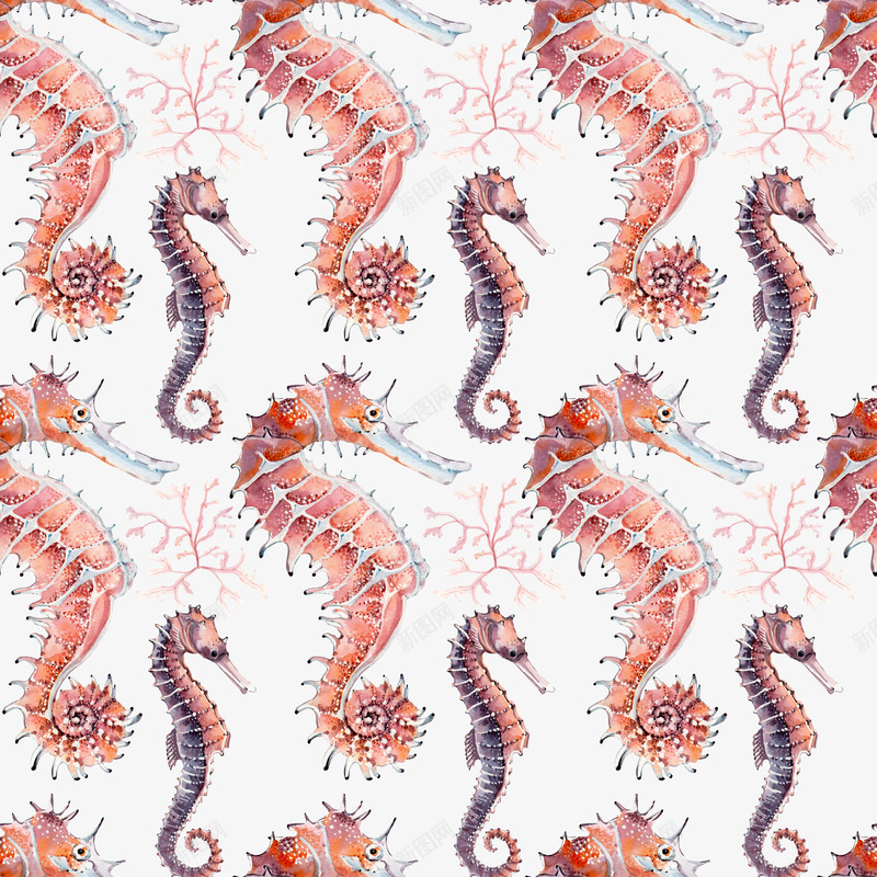 海马装饰png免抠素材_新图网 https://ixintu.com png 卡通海马 海洋生物 海马