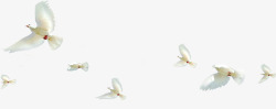 活动白色和平鸽效果飞翔素材