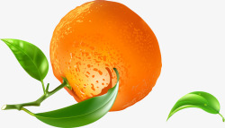 新鲜橘子水果图素材