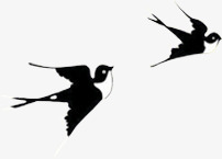 一对飞翔的鸟png免抠素材_新图网 https://ixintu.com 一对 动物 飞翔 鸟 黑白