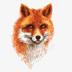 彩绘狐狸头像素材