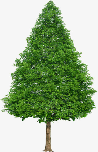 绿色清爽树木造型png免抠素材_新图网 https://ixintu.com 树木 清爽 绿色 设计 造型