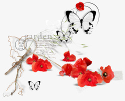 红色花朵与蝴蝶背景素材
