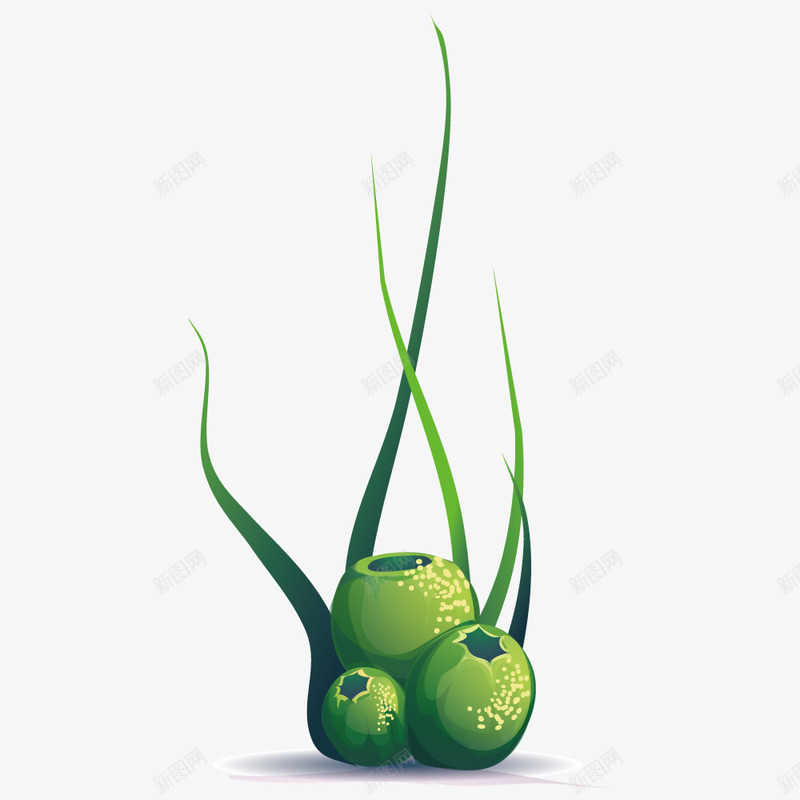 圆球形海洋植物png免抠素材_新图网 https://ixintu.com 圆球形 植物 海洋 绿色