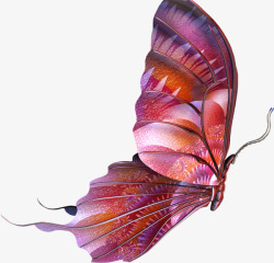 蝴蝶紫色蝴蝶飞翔的蝴蝶素材