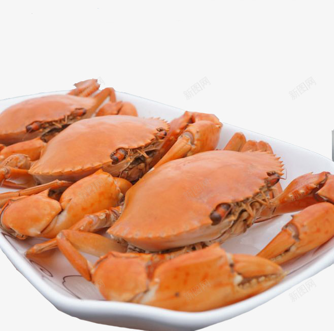 三只青蟹png免抠素材_新图网 https://ixintu.com 橙色 素材 青蟹 食物