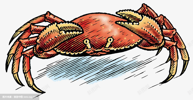 卡通螃蟹生物png免抠素材_新图网 https://ixintu.com 卡通 大螃蟹 寄居蟹 海洋生物 节肢动物 螃蟹 蟹 蟹类