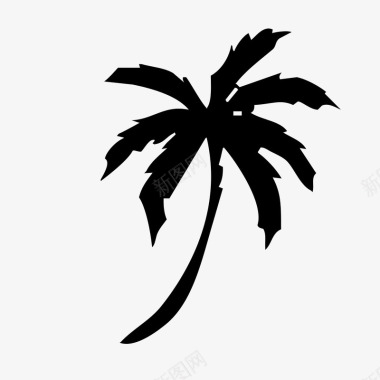 黑色椰子树图标图标