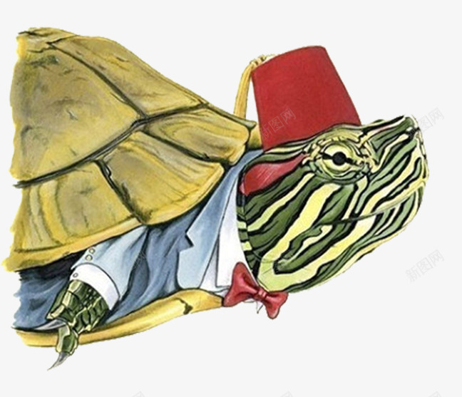手绘动物png免抠素材_新图网 https://ixintu.com 写实 头像 巴西龟 彩绘 拟人动物 西服
