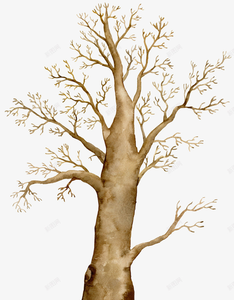 树干简图png免抠素材_新图网 https://ixintu.com 一棵 卡通 图案 手绘 枝干 树木 棕色 简图