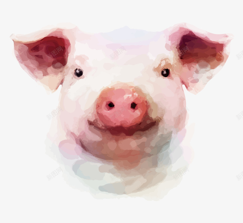 可爱的彩绘小猪矢量图ai免抠素材_新图网 https://ixintu.com 可爱 彩绘猪 猪 矢量猪 矢量图