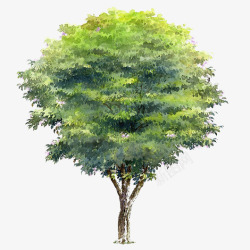 树木背景手绘树木素材