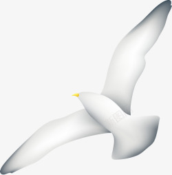 展翅飞翔白鸽和平鸽素材