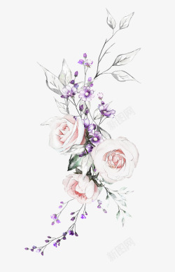 花草插画手绘清新花卉花朵高清图片