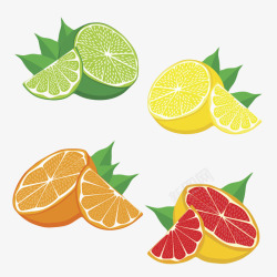 橙黄绿色美味的水果柠檬片卡通素材