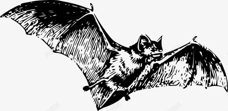 手绘蝙蝠图标图标
