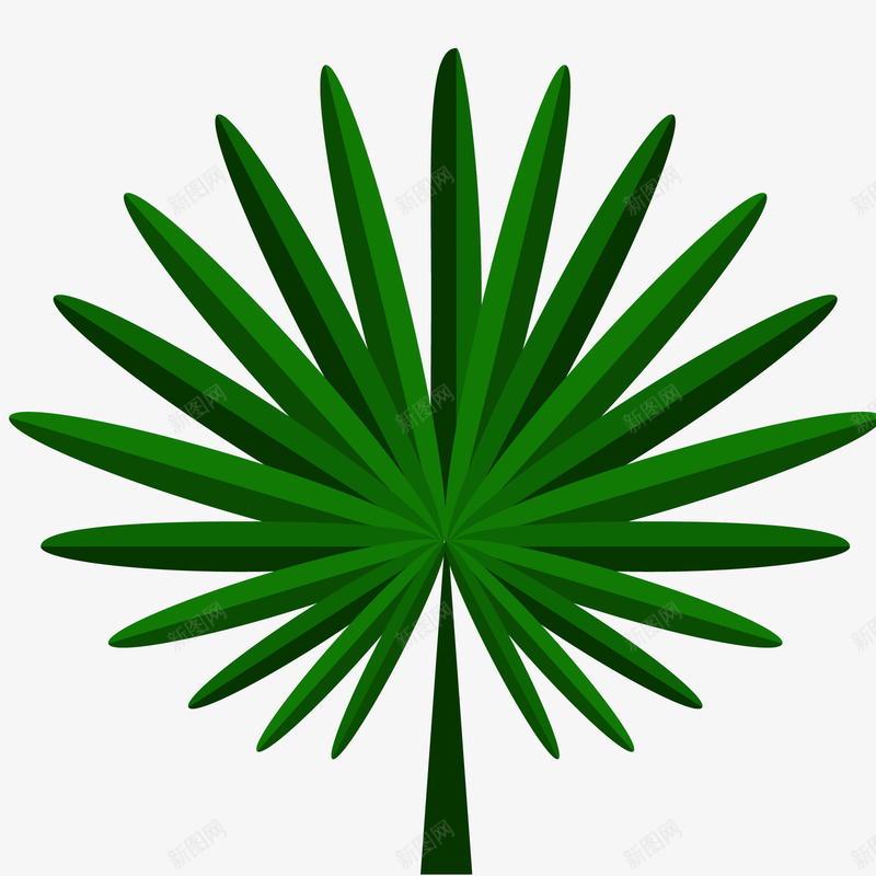 绿色棕榈树叶矢量图ai免抠素材_新图网 https://ixintu.com 树木的叶子 棕桐树 植物 绿色的 装饰 矢量图