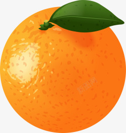 橙色立体卡通橘子素材
