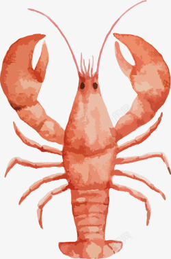 麻辣海产品彩绘大龙虾高清图片