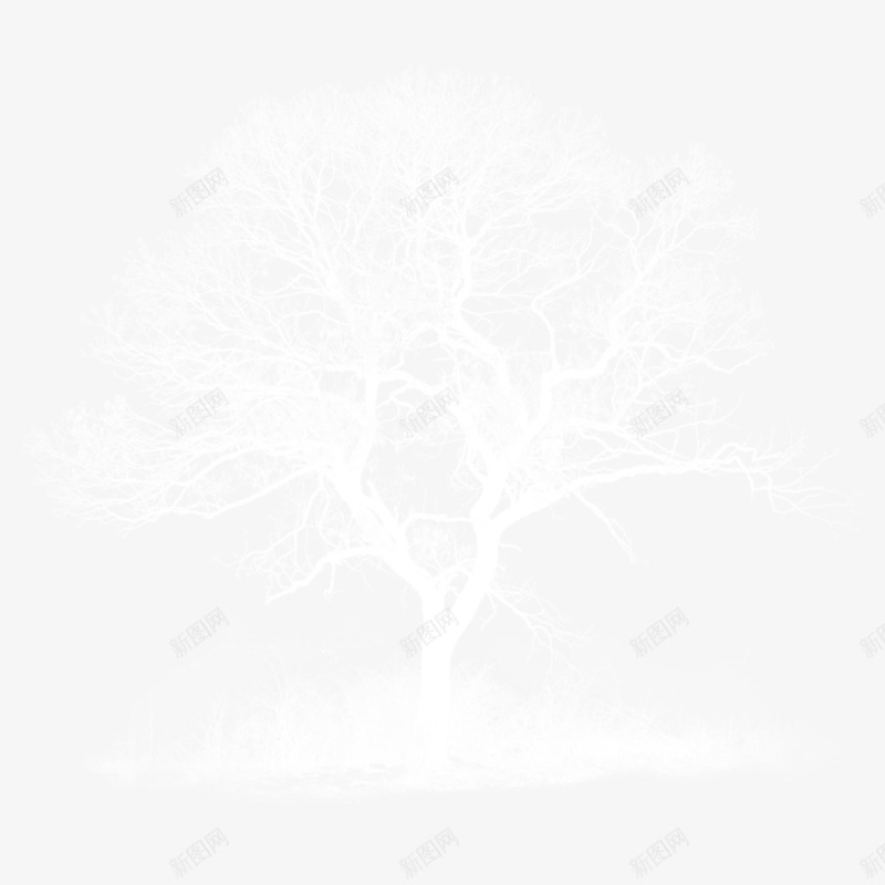 白色树木枯树背景png免抠素材_新图网 https://ixintu.com 枯树 树木 树杆 白色 素材背景