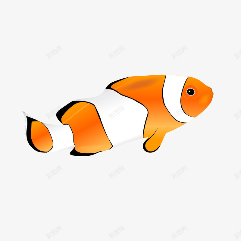 可爱的海洋鱼png免抠素材_新图网 https://ixintu.com 可爱 可爱的鱼 海洋鱼 游动 鱼