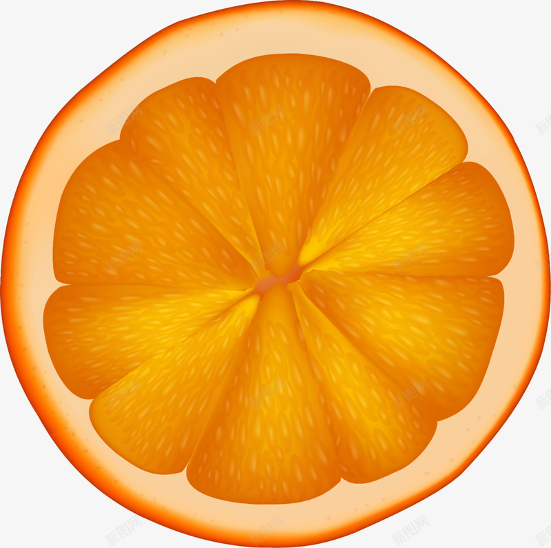 小清新橙色橙子png免抠素材_新图网 https://ixintu.com 小清新橙子 橙子果肉 橙色橙子 水彩 水果 简约果肉