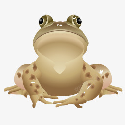 青蛙各种仿真动物图标图标