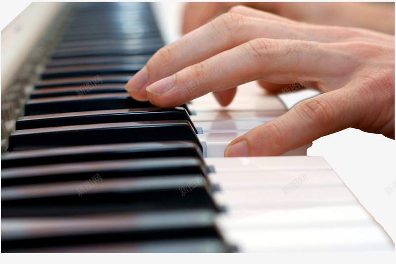 弹钢琴的手特写摄影png免抠素材_新图网 https://ixintu.com 乐器 弹钢琴 弹钢琴的手 手 手指 摄影 特写 钢琴