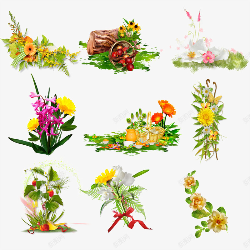 各种鲜花植物集合png免抠素材_新图网 https://ixintu.com 彩色 新鲜 植物 花朵 茂盛