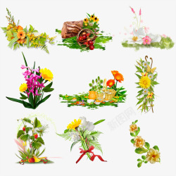 鲜花集合各种鲜花植物集合高清图片