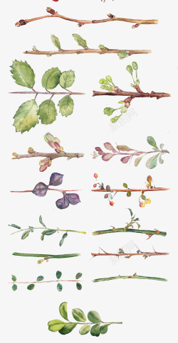 各种手绘水彩树枝树叶素材