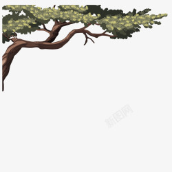 鏉炬灉绿色质感松树树干矢量图高清图片