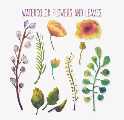 水彩绘花朵和叶子素材