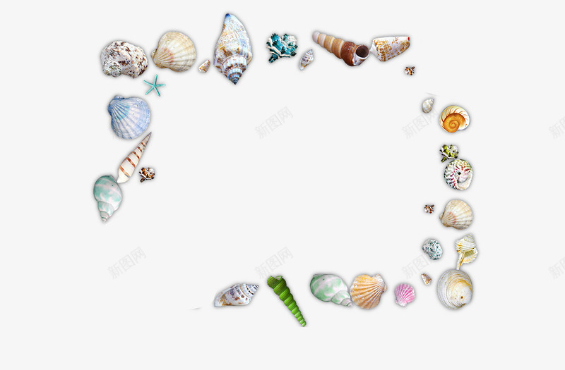 各种海螺贝壳沙滩大海png免抠素材_新图网 https://ixintu.com 各种海螺贝壳沙滩大海