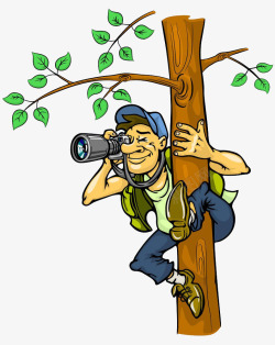 手绘爬树的考拉在树上照相的人高清图片
