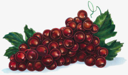 卡通红色水果葡萄素材