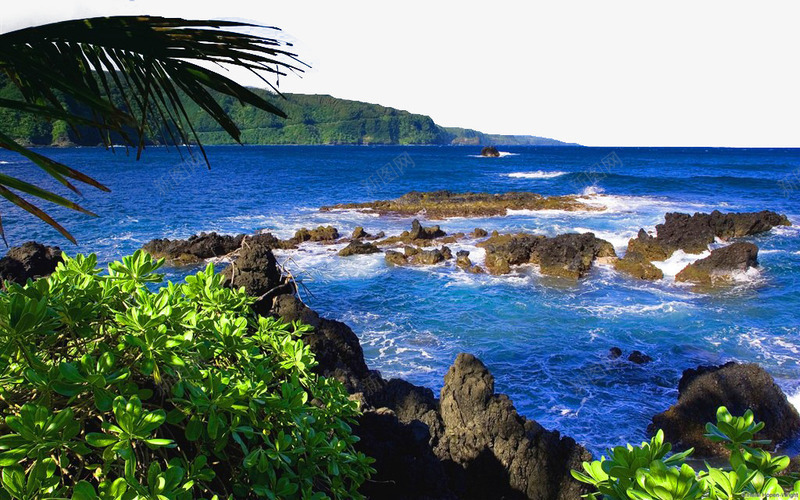 美国夏威夷毛伊岛png免抠素材_新图网 https://ixintu.com 名胜古迹 图片素材库 地方景点 夏威夷 实物图 摄影图 景点素材 毛伊岛 美国 自然景观 自然风景 高清图片