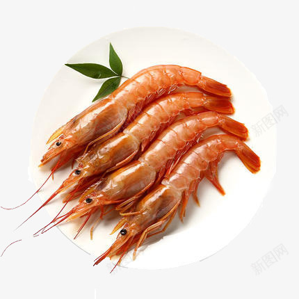 美味红虾png免抠素材_新图网 https://ixintu.com 海鲜 虾 食物 鱼虾