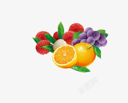 葡萄树莓橙子素材