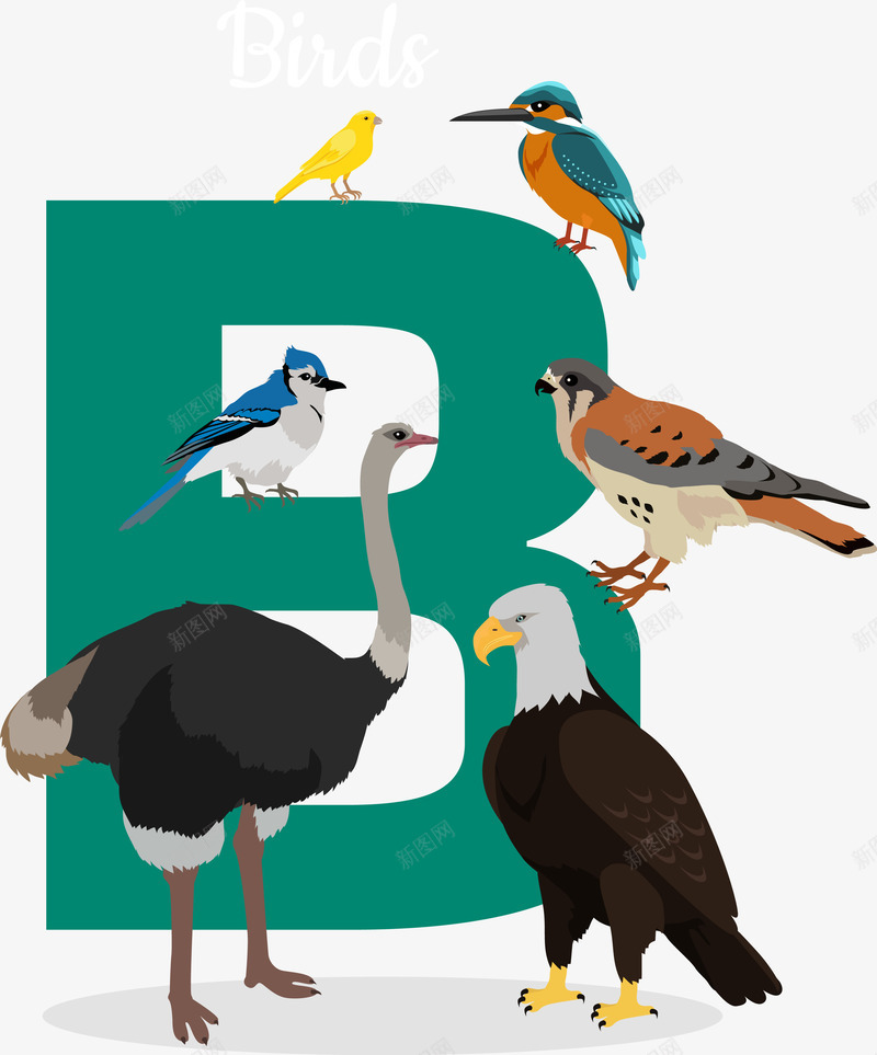 卡通各种鸟类B字母png免抠素材_新图网 https://ixintu.com B字母 卡通各种鸟类 卡通各种鸟类B字母 矢量卡通各种鸟类B字母