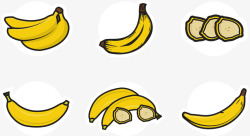 彩绘香蕉矢量图素材
