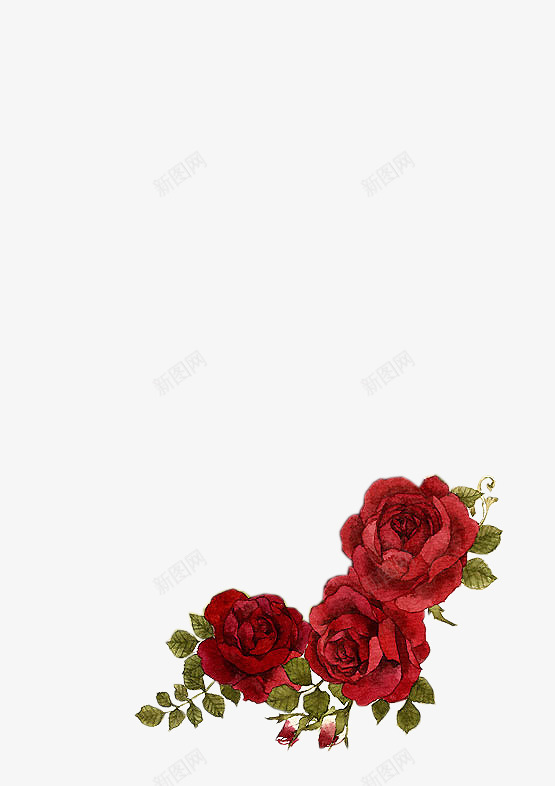 彩绘玫瑰花红色花朵png免抠素材_新图网 https://ixintu.com 彩绘 玫瑰花 红色 花朵